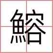 鰫