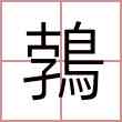 鵓
